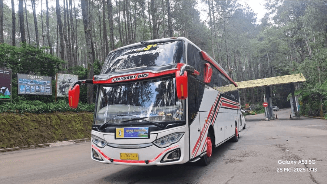 Bus Pariwisata